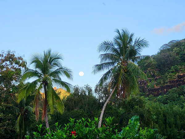 Fare Manta de Moorea Lune Fare Manta de Moorea Lune